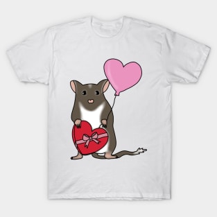 Cute brown gerbil with heart balloon and chocolates T-Shirt